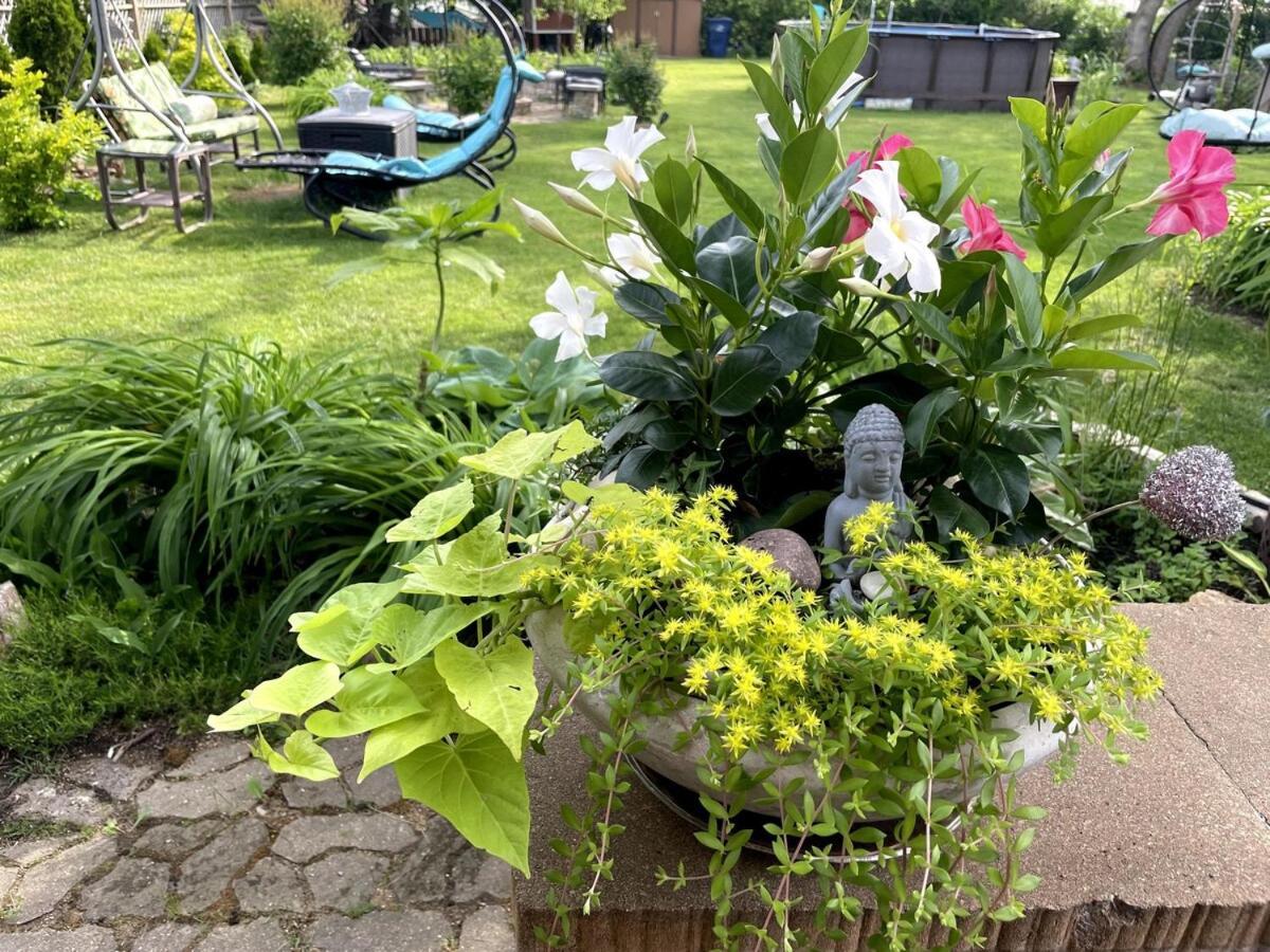 Schaumburg Paradise Oasis With A Secret Garden And Private Pool Buitenkant foto
